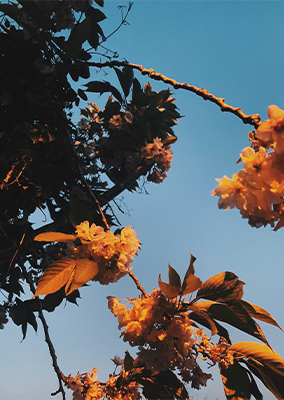 Instagram/風景写真/加工編集